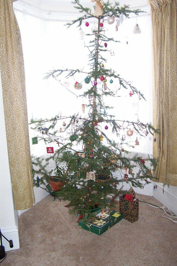 Christmas tree